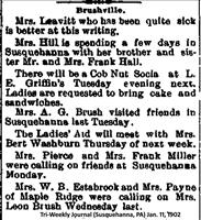 Brushville(PA)News(Jan.11, 1902)